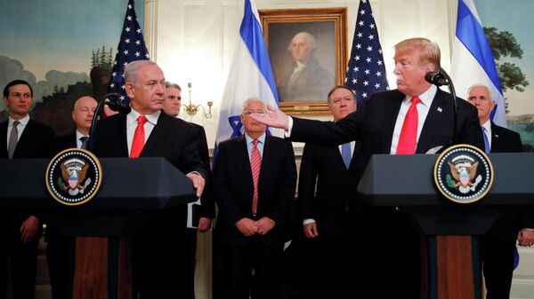 
Президент США Дональд Трамп во время встречи с премьер-министром Израиля Биньямином Нетаньяху в Белом доме в Вашингтоне. 25 марта 2019
