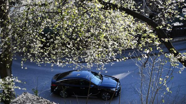 Цветущее дерево и автомобиль