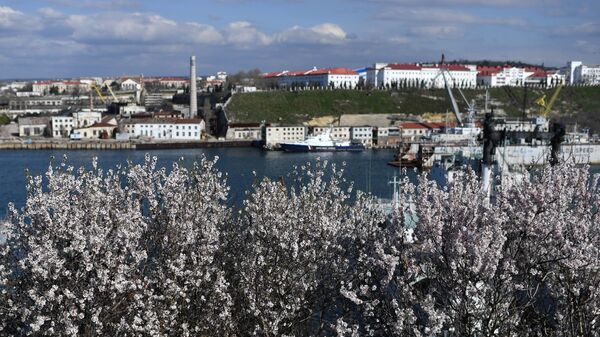 Цветущие деревья у Севастопольской бухты