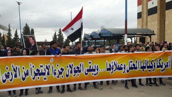 Демонстрация в Сирии против решения Вашингтона по статусу Голанских высот. 26 марта 2019
