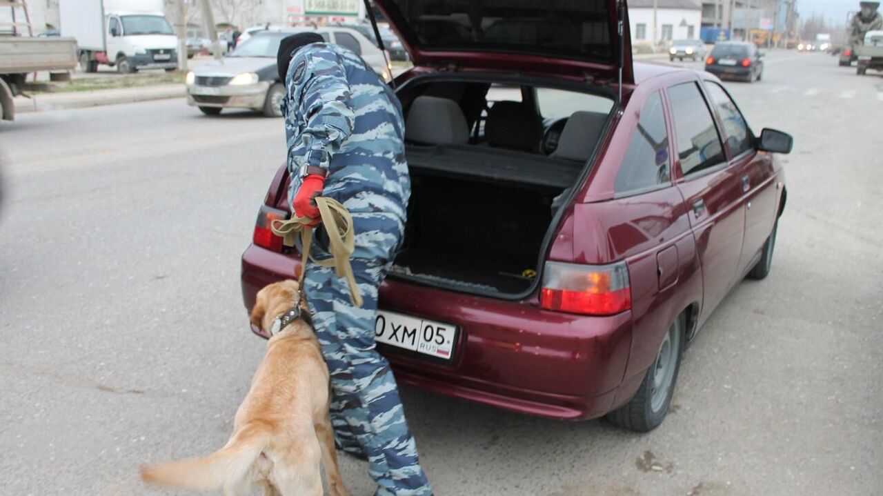 Стало известно, какие неожиданные предметы нельзя возить в своей машине -  РИА Новости, 28.11.2020