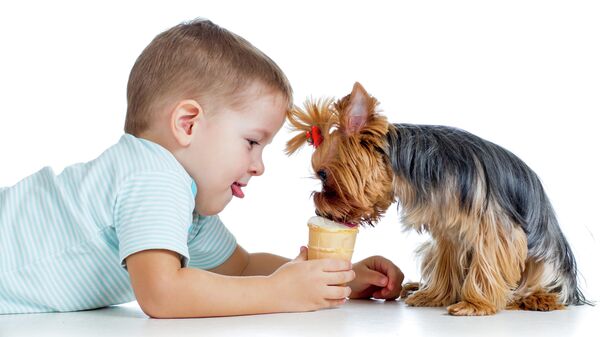 Мальчик угощает собаку мороженым