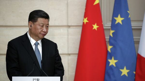  Председатель КНР Си Цзиньпинь во время пресс-конференции  в Париже. 25 марта 2019