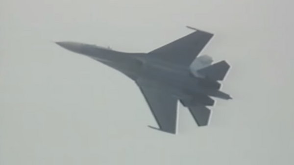 Такого не ожидали: летчик Пугачев рассказал о первой кобре на Су-27 