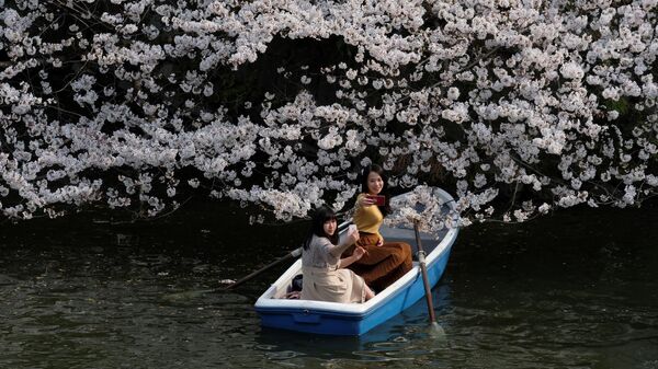 Девушки фотографируются с сакурой в Токио, Япония