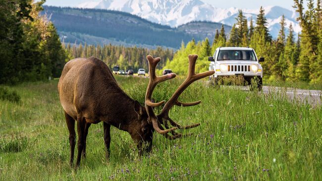 Канада, национальный парк Banff