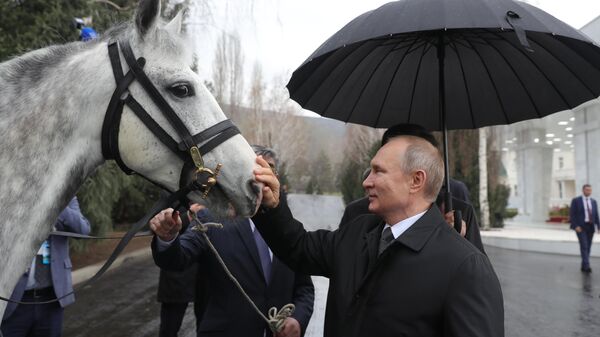 Президент РФ Владимир Путин с подаренным президентом Киргизии Сооронбаем Жээнбековым Орловским рысаком в Бишкеке