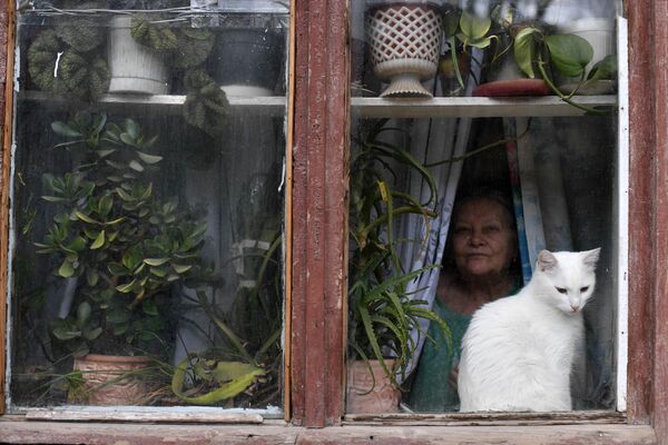 Кошка в окне в Балаклаве
