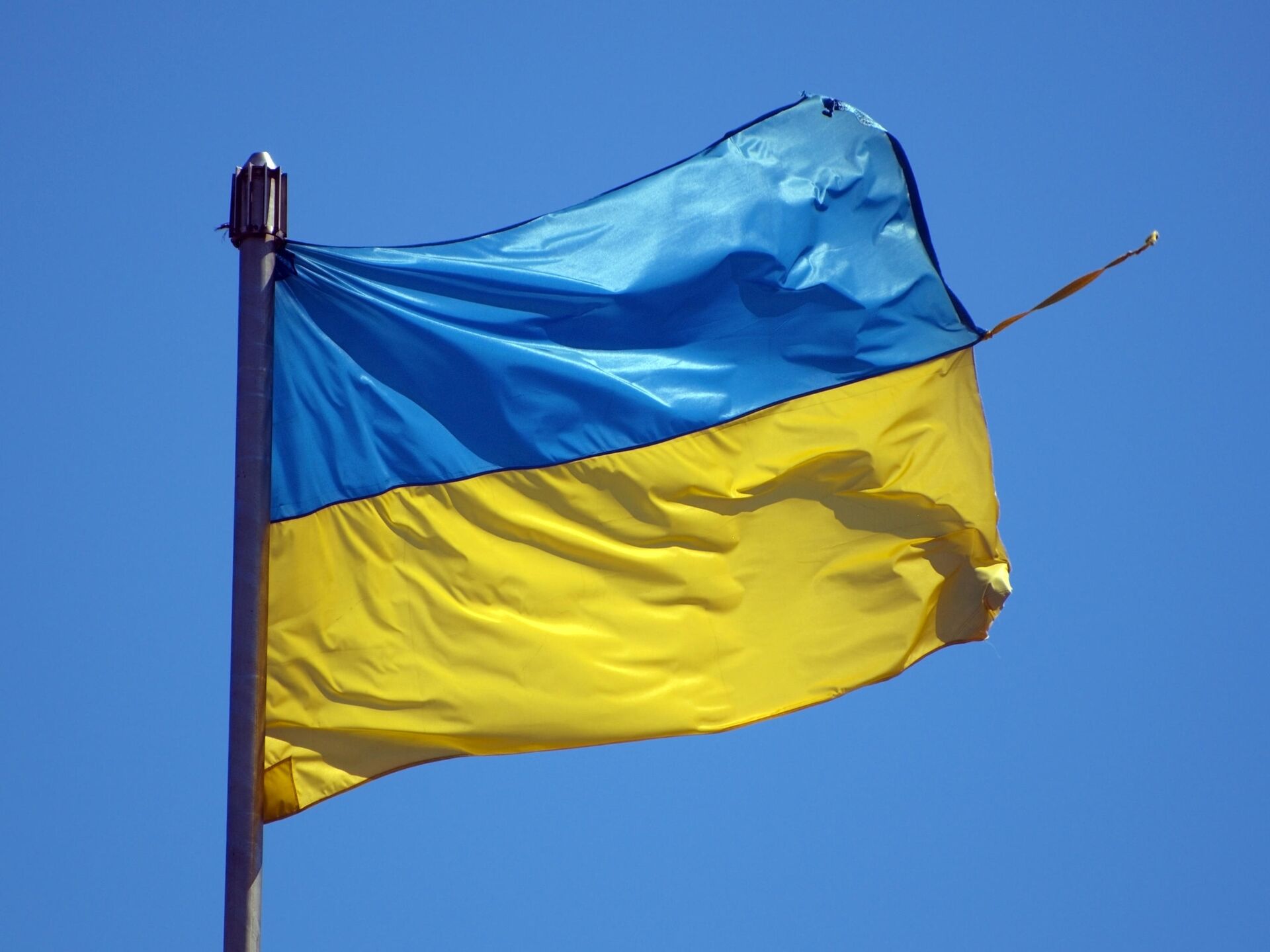 Флаг Украины Фото