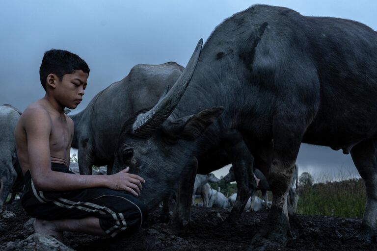 Работа финалиста конкурса Sony World Photography Awards 2019