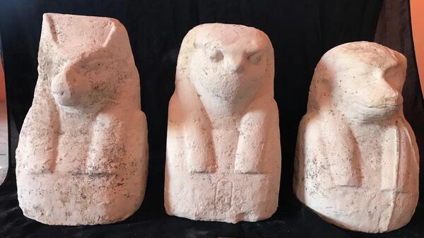 Мумии и археологические находки, обнаруженные  в провинции эль-Мануфия в Египте