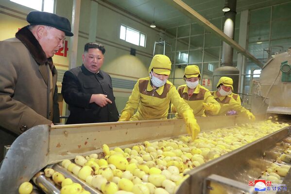 Северокорейский лидер Ким Чен Ын осматривает фабрику картофеля в округе Самджиён