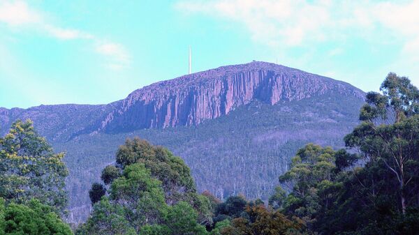 Гора Веллингтон. Тасмания