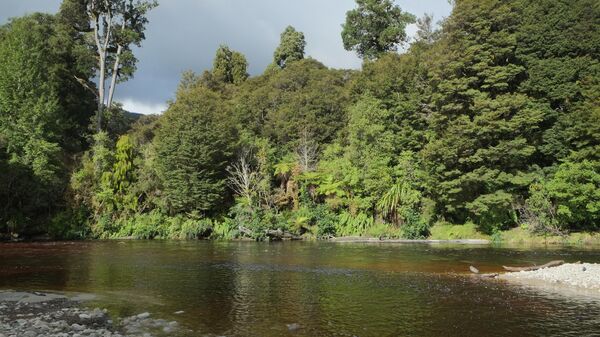 Национальный парк Кауранг в Новой Зеландии