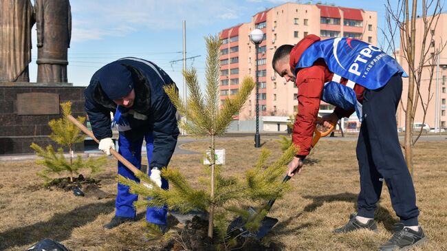 Волонтеры сажают ели в Кемерово в честь полного перехода кемеровской области на цифровое телевещание. 6 апреля 2019