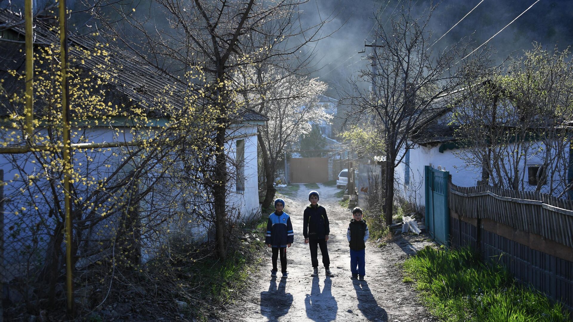 Весна в Крыму - РИА Новости, 1920, 21.03.2023