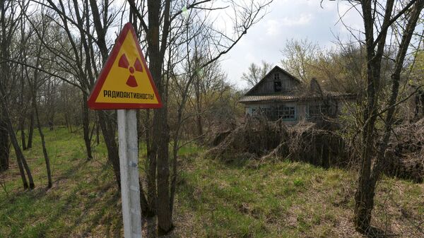 Предупреждающий знак и заброшенный дом на территории Полесского государственного радиационно-экологического заповедника