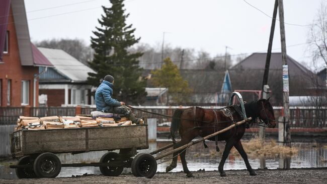 Омская область