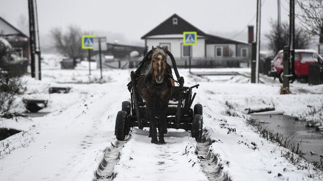 Лошадиная упряжка