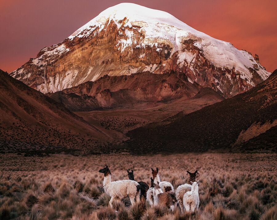 Боливия. Закат в национальном парке Sajama