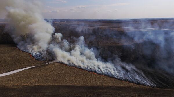 Сухая трава горит в поле в Ленинск-Кузнецком районе Кемеровской области