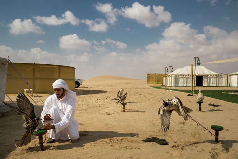 Falcons and the Arab Influence фотографа Brent Stirton, занявшего первое место в категории NATURE - STORIES в фотоконкурсе World Press Photo 2019