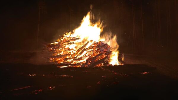 Пожар в национальном парке Лосиный остров