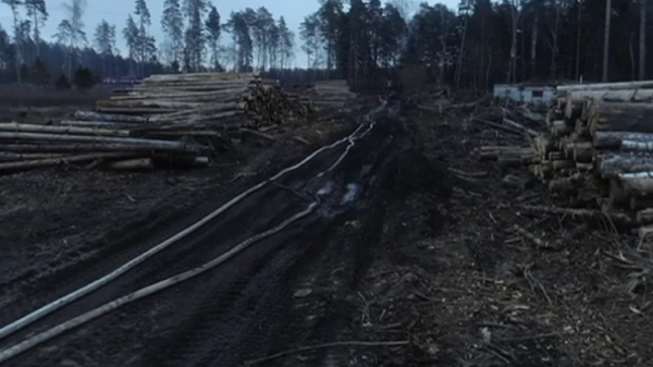 Опубликовано видео последствий пожара в нацпарке Лосиный остров в Москве