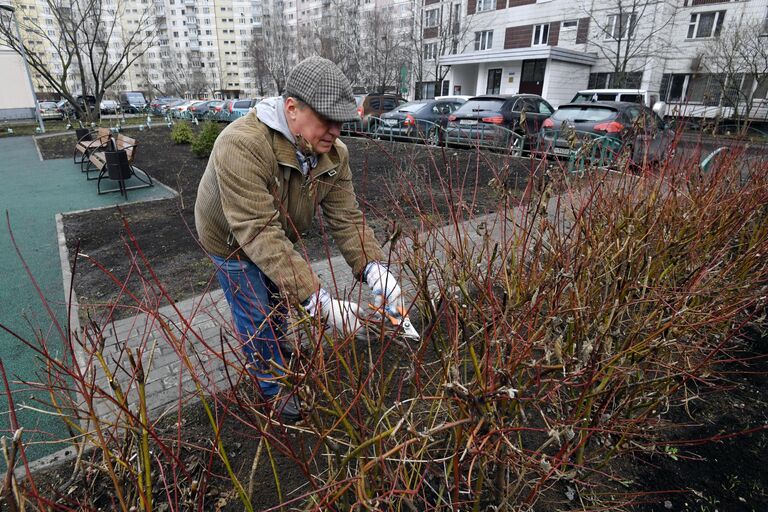 Общегородской субботник в Москве