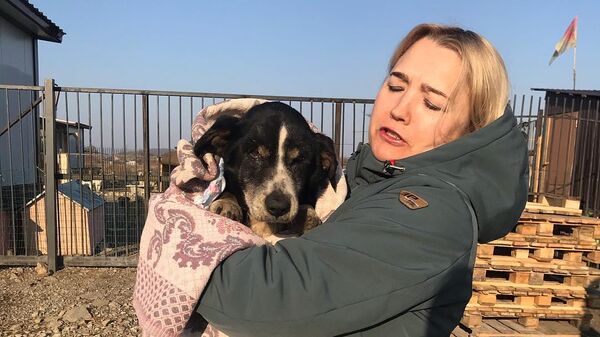 Собака, которую ее хозяева сочли умершей и похоронили, в приюте Открой свое сердце в Уссурийске 