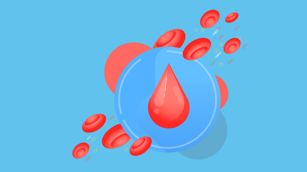 Главное о донорстве крови
