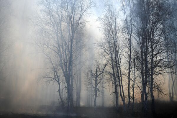 Дым от лесного пожара у поселка Маккавеево Забайкальского края