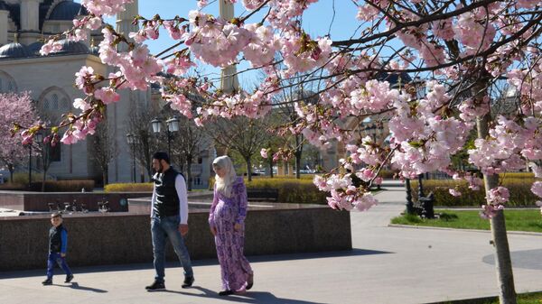 Горожане гуляют в сквере радом с мечетью Сердце Чечни в Грозном