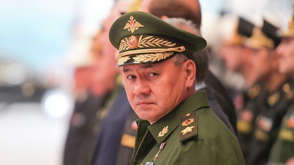 Министр обороны России Сергей Шойгу. Архивное фото