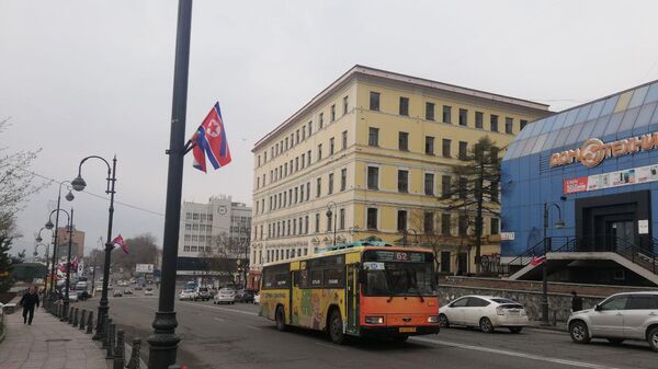 Флаги России и Северной Кореи на Алеутской улице Владивостока