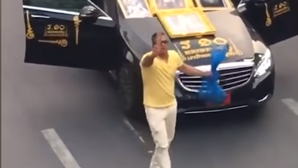 В центре Бангкока водитель Mercedes выпустил на волю мешок змей