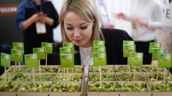 Девушка рассматривает сорта хмеля на Международной выставке индустрии напитков в России 