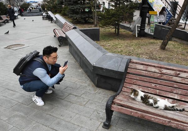 Турист фотографирует кошку на улице Адмирала Фокина во Владивостоке