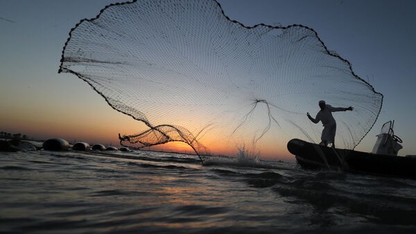 Рыбак закидывает сеть неподалеку от Абу-Даби, ОАЭ 
