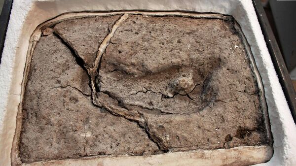 Самый древний человеческий след на американском континенте возрастом около 15,6 тысяч лет, обнаруженный группой ученых из университета Austral в Чили (UACH)