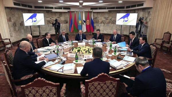 Председатель правительства РФ Дмитрий Медведев во время заседания Евразийского межправительственного совета в узком составе. 30 апреля 2019