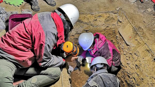  Ученые проводят раскопки на территории пещеры Байшья на Тибете