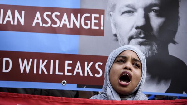 Участница акции в поддержку основателя WikiLeaks Джулиана Ассанжа в Лондоне. Архивное фото