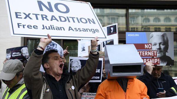 Участники акции в поддержку основателя WikiLeaks Джулиана Ассанжа у здания Вестминстерского мирового суда в Лондоне