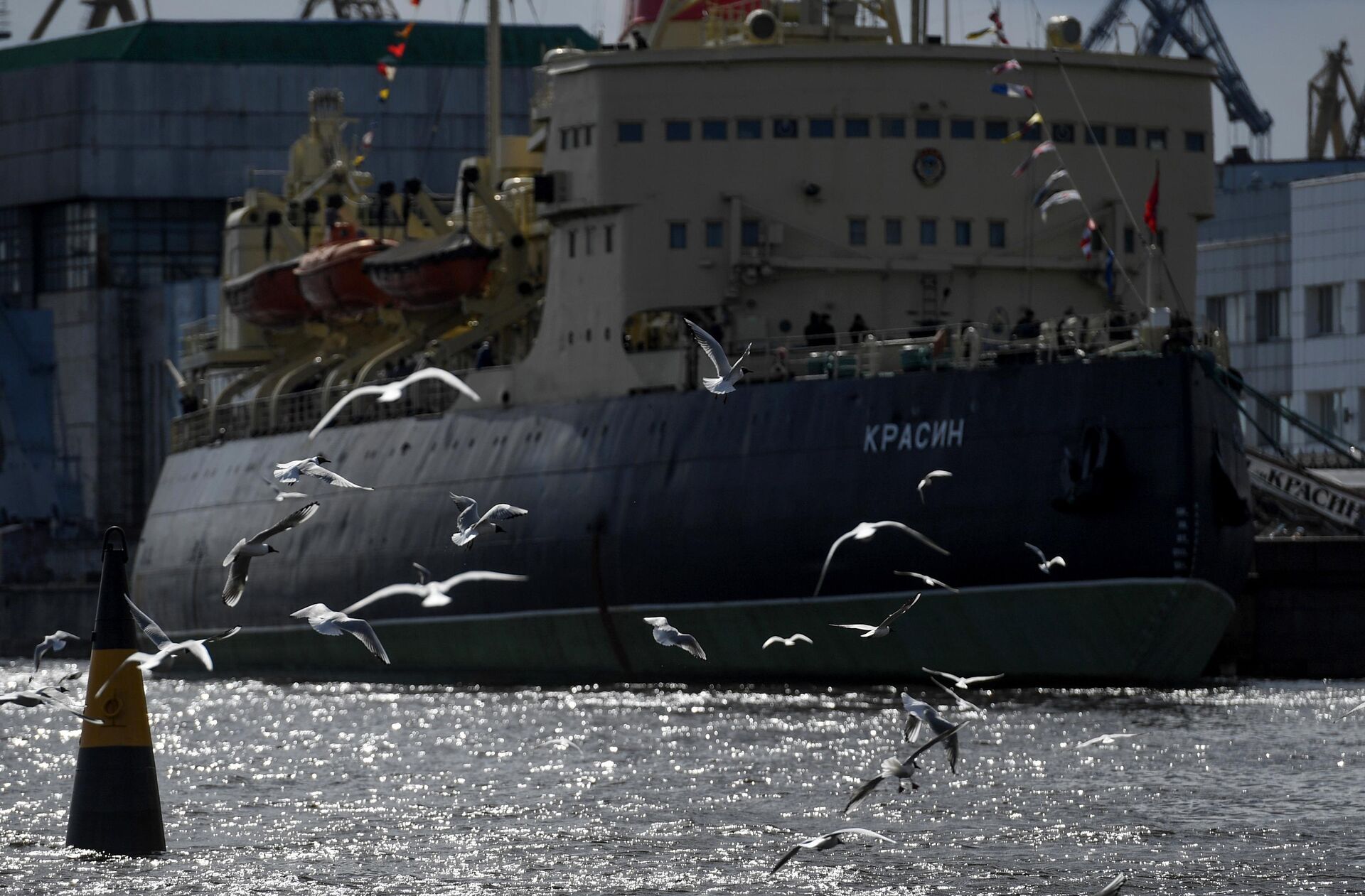 Ледокол Красин на фестивале ледоколов в Санкт-Петербурге Ледокол Красин на фестивале ледоколов в Санкт-Петербурге - РИА Новости, 1920, 31.01.2025