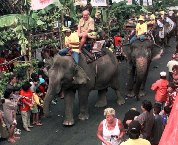 Деревня слонов в Паттайе, Таиланд
