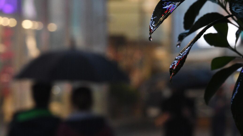 © РИА Новости / Владимир АстапковичПерейти в медиабанк<br>Дождь в Москве. Архивное фото