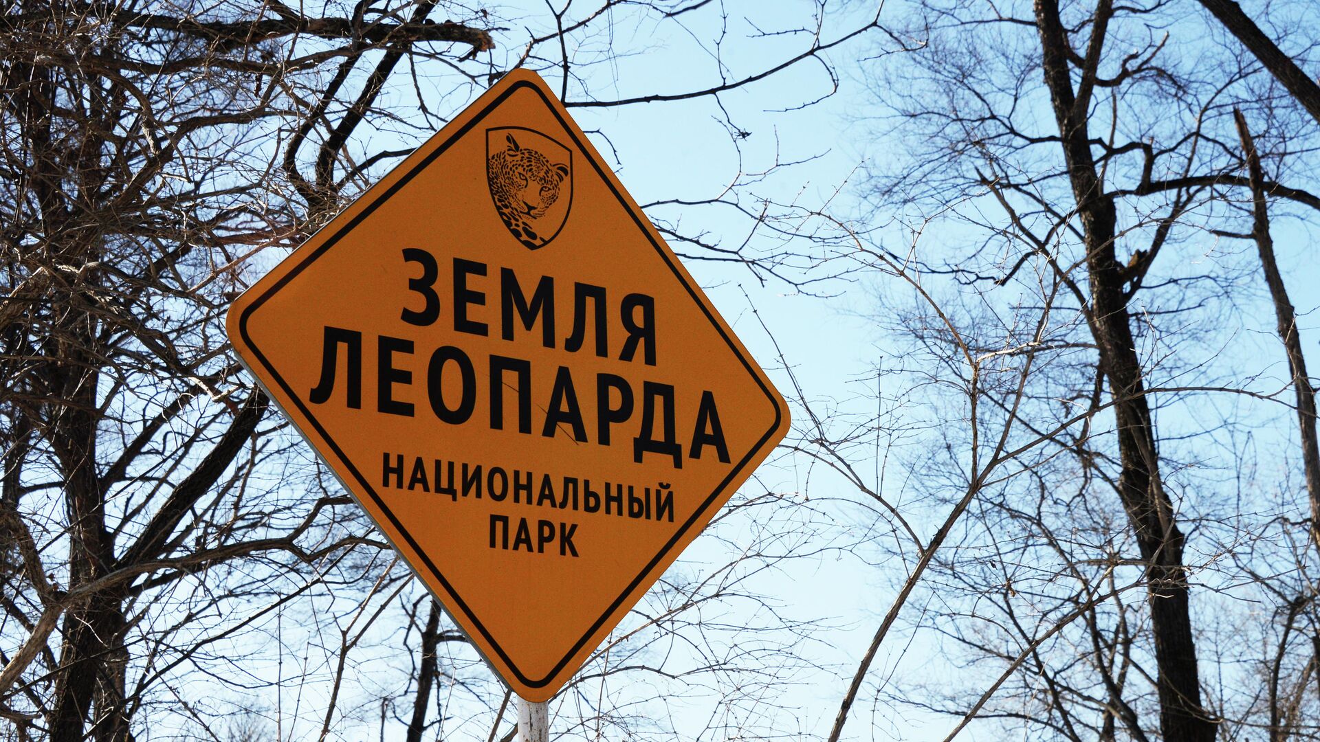 Нацпарк Земля леопарда Нацпарк Земля леопарда - РИА Новости, 1920, 19.02.2025