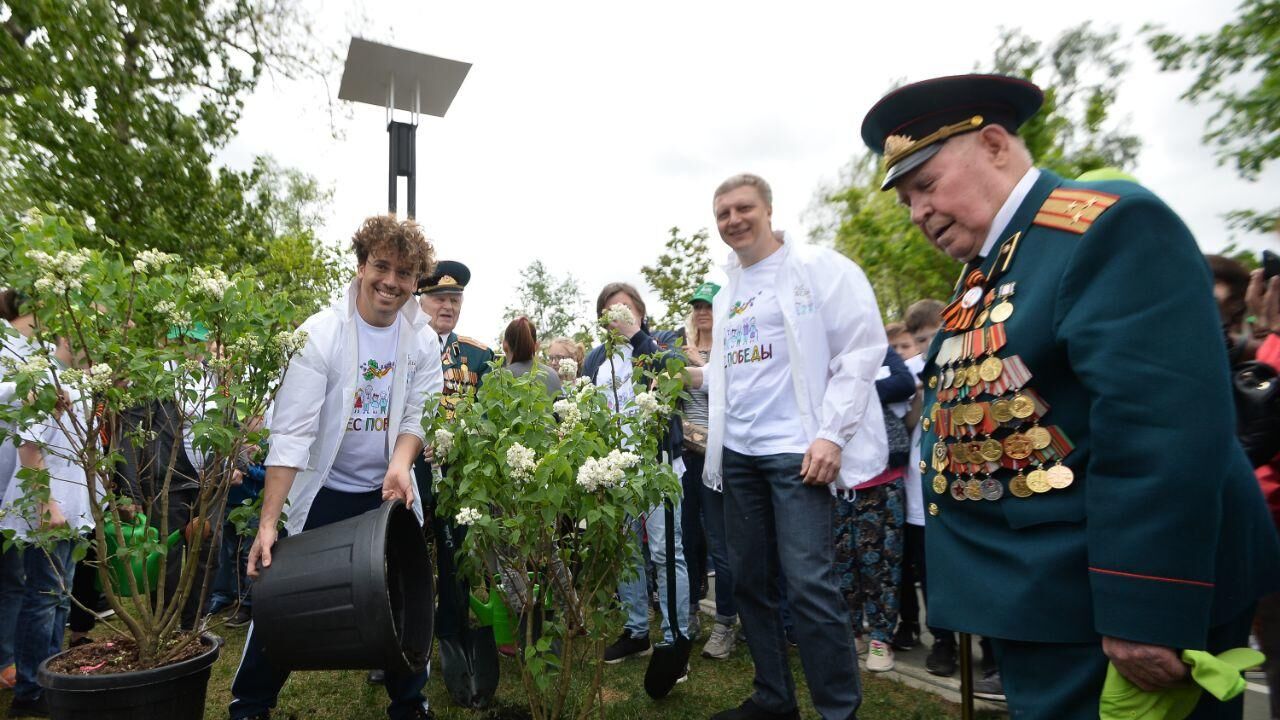 Эколого-патриотическая акция Лес Победы - РИА Новости, 1920, 11.05.2019