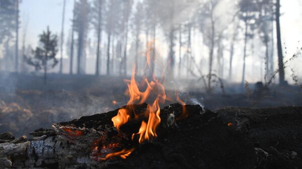 Лесной пожар у поселка Маккавеево Забайкальского края